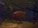 thumbnail10